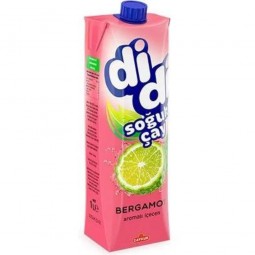 DIDI Eistee Bergamotte 1l